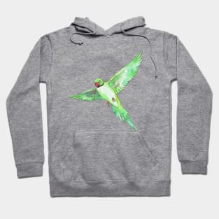 Indian Ringneck Parakeet Hoodie